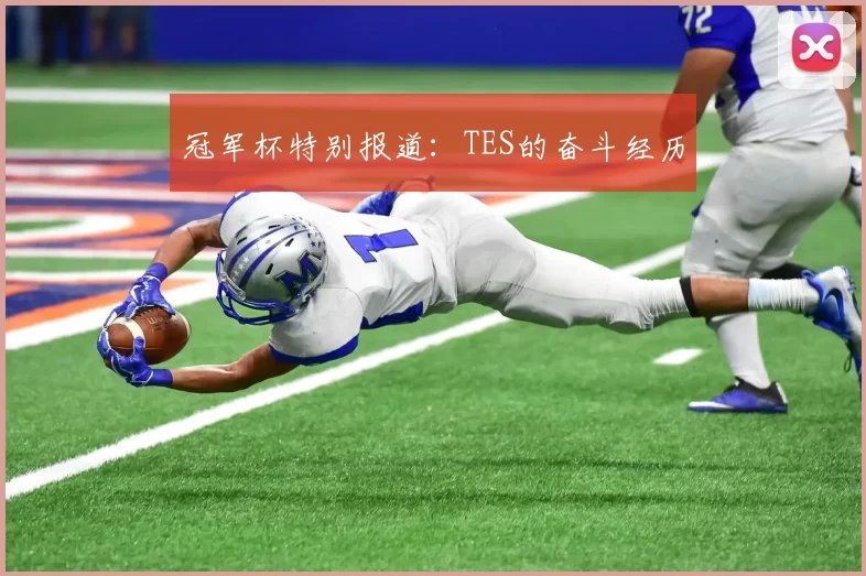 冠军杯特别报道：TES的奋斗经历