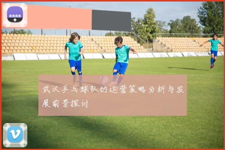 武汉乒乓球队的运营策略分析与发展前景探讨