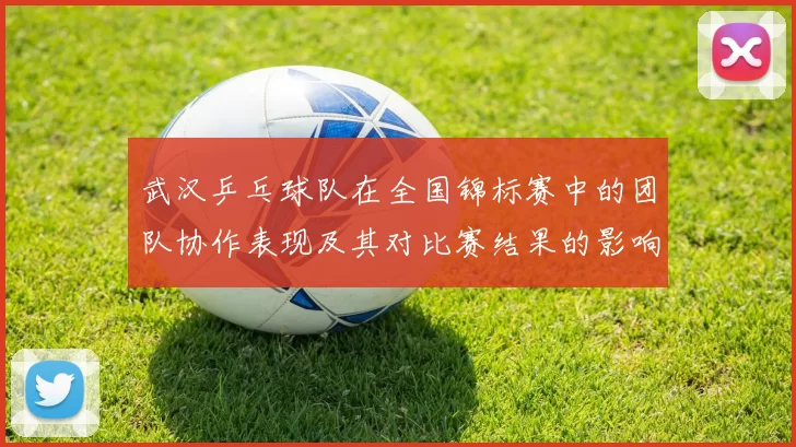 武汉乒乓球队在全国锦标赛中的团队协作表现及其对比赛结果的影响分析