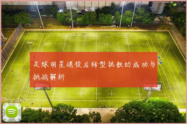 足球明星退役后转型执教的成功与挑战解析